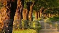 万人炸金花注册-万人炸金花注册，一场数字时代的娱乐盛宴