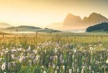 足球比分免费直播-足球比分免费直播，球迷的狂欢盛宴与信息获取新渠道